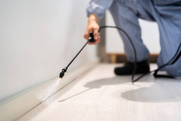 Certified termite inspector examining foundation in Harrison